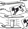 Cow Trick Instructions